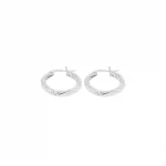 Aros Plata Dharti